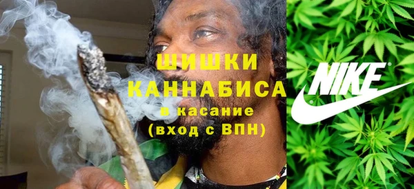 шишки Балахна