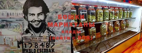шишки Балахна